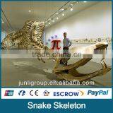 JLDF-G-0024 Artificial Huge Snake Skeleton