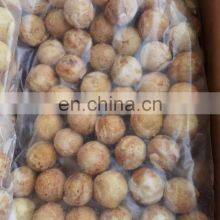 Popular Seafood Snack Takoyaki Frozen Roasted Octopus Ball thumbnail-2