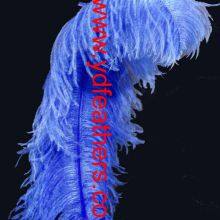 Ostrich Feather Dyed Blue From China thumbnail-1