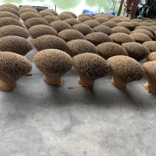 Manufacturers Direct Selling High Number of Fragrant Bamboo Sticks