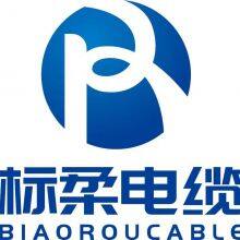 Biaoluo Special Cable (Shanghai) Co., Ltd company overview - view 1 thumbnail