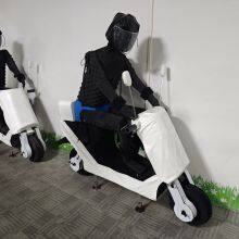 BYD Fake Human and Fake Car Experimental Model Production Factory