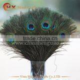 Factory Wholesale Indian Peacock Feather for Sale thumbnail-2