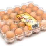 Clear Middle Split Plastic Egg Carton-Quail Eggs