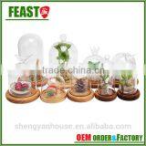 Bell Jar With Wooden Base Clear Glass Dome Stand thumbnail-6