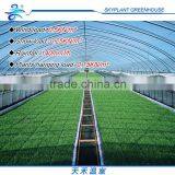 Lost Cost Sliding Door for Film Plastic Greenhouse thumbnail-5