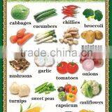 School Education / Wall Hanging Painting/ Printing thumbnail-1