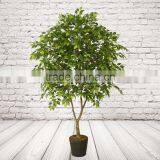 Artificial Ficus Tree thumbnail-4