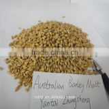 Australian Hindmarsh barley for beer