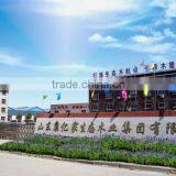 Shandong Kangyijia Ecological WPC Group Co., Ltd. company overview - view 2 thumbnail