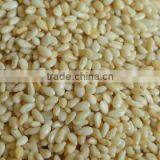 Roasted Sesame Seed thumbnail-1