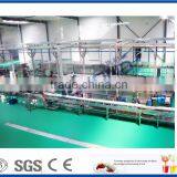 Continuous Tunnel Sterilizer for Glass Bottle Beer