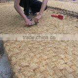 COIR MAT FOR ROAD PAVING /COCONUT FIBER MAT/ROPE MAT