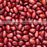 Red Kidney Beans for Hot Sale and With Free Sample for Sale thumbnail-1