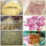 Electric Large Type of Garlic/Shrimp/Turmeric Paste Grinding Machine thumbnail-6