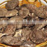 Green Healthy Dried Smooth Mushroom for Sale thumbnail-1