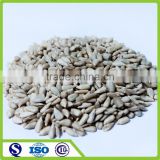 2016 Confection and bakery grade sunflower seed kernel
