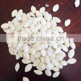 Delicious Pumpkin Seeds With Shell 9-11mm thumbnail-1