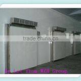 Cold Room for Storing Ice Cream thumbnail-1