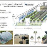 Tunnel Greenhouse thumbnail-4