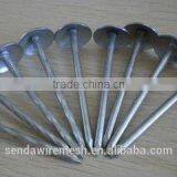 3" Umbrella Roofing Nails/construction Roofing Nails and Building Material Nails thumbnail-2