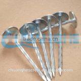 Umbrella Head Roofing Nails With Rubber Washer thumbnail-1