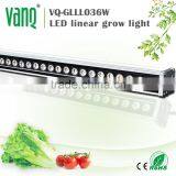 Led Grow Lamps High Quality 36w Led Holografico Chile Grow thumbnail-1