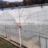 In Plastic Greenhouse Was More Arch Bridge thumbnail-1