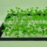 China Mamufacture Soilless Culture Seeds Tray Hydroponic Planting Sponge&foam thumbnail-6