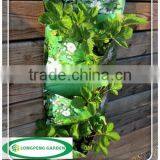Planting Three Times For Balcony and Terrace,Cusmtomized Wall Pocket,Vertical Garden,Plant Bag thumbnail-1