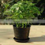 15040110 Supply High Quality Colorful Melamine Flowerpot thumbnail-5