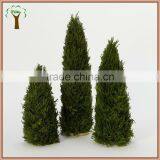 Cone Preserved Cypress Topiary thumbnail-1
