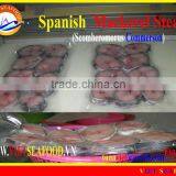 FROZEN STEAK SPANISH MACKEREL thumbnail-1