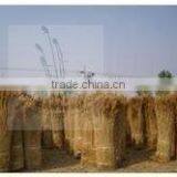 Thatched Reed for Roof Thatching thumbnail-1