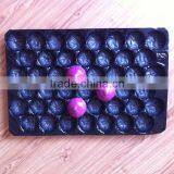 Plastic Tray Insert for Apple, Thermoformed Plastic Tray Insert for Apple, Food Grade Plastic Tray Insert for Apple thumbnail-3