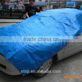 Car Cover, Typical Sample Cover thumbnail-1