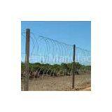 PVC Coated Barbed Barbed Wire Mesh Roll Barbed Wire