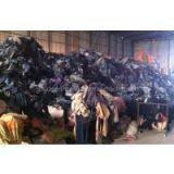 Used Jean in Good Quality thumbnail-2