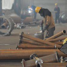 Henan Shuangfu Industry Co.,ltd company overview - view 2 thumbnail