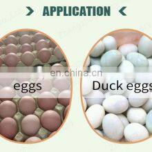 Industrial Egg Sorting Machine Candling Grader thumbnail-5