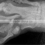 Battery Powered Mobile Digital X-Ray thumbnail-3