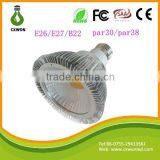 Led Par Light 10w Competitive Price High Power Cob Led Par30 Led Bulbs