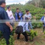 Yunnan Changshengda Coffee Co., Ltd. company overview - view 3 thumbnail