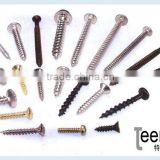 All Kinds of Stainless Steel Screw