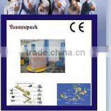 Pallet Wrapping Machine YK1650F-CS