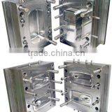Injection Plastic Mold/molding for Plastic Part