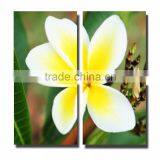 Canvas Giclee Printing Digital Art, 3d Picture Printed