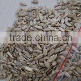 Sunflower Seeds Kernels in Inner Mongolia thumbnail-2