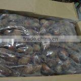 FROZEN LOLIGO SQUID WHOLE thumbnail-2