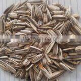 Supply Different Type of Chinese Sunflower Seeds With Good Quality